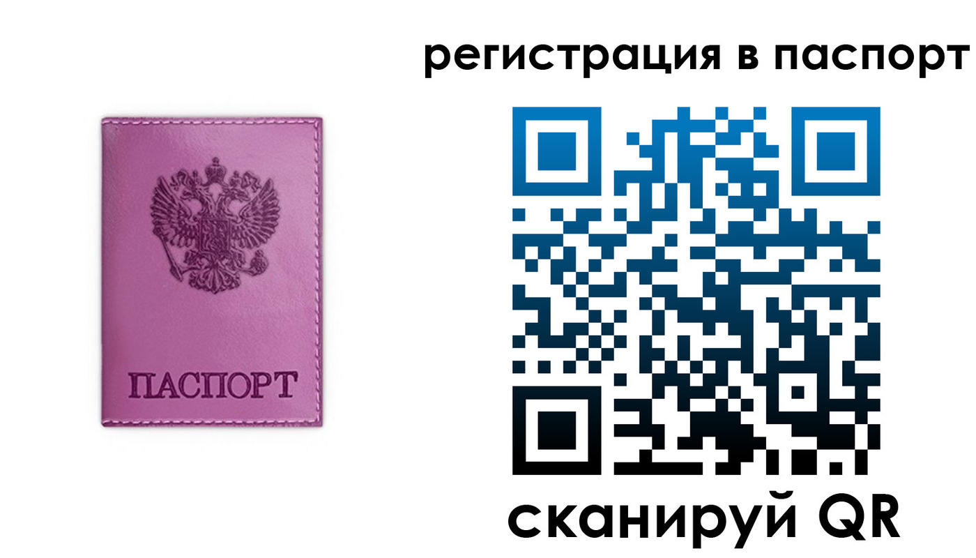 прописка 2025 в Димитровграде